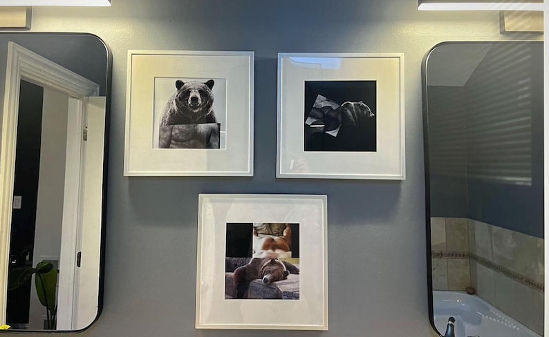 May include: Three framed art prints featuring bear and dog images. The top left print shows a bear's face and torso. The top right print is a black and white image of a bear. The bottom print shows a dog resting. The frames are white.