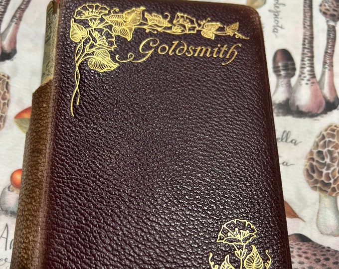 Oliver Goldsmith Antique Poetry Book, Leather Bound Collectible Book