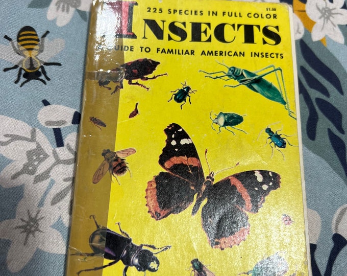 Guide To American Insects Book, Pocket Illustrated Bug Identification Paperback