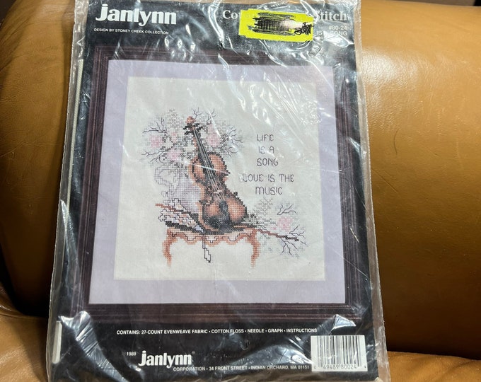 Cross Stitch Kit, Violin Craft Project, Music Lover