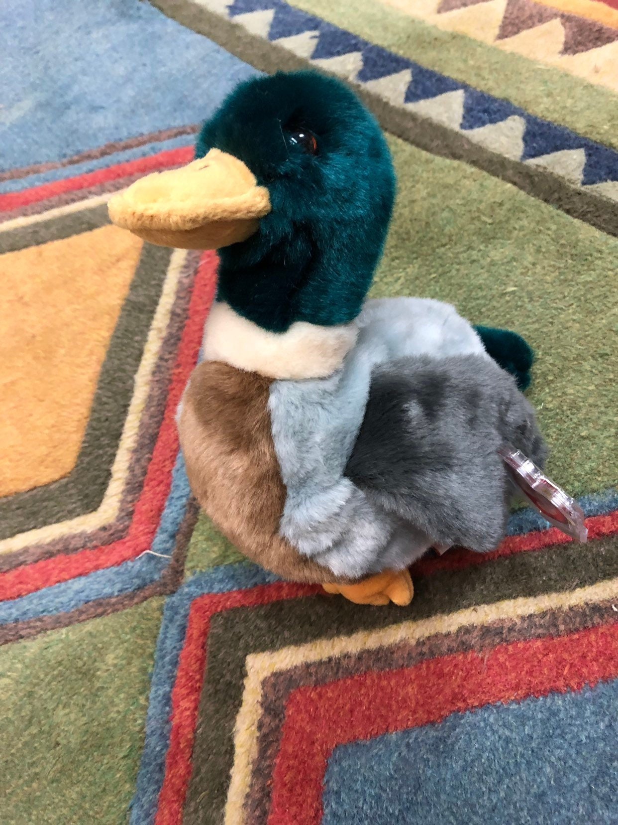 beanie baby jake the duck