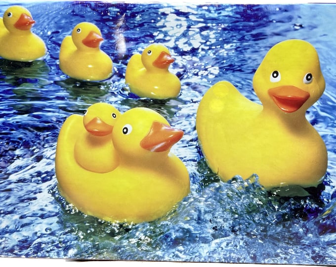 Rubber Ducky Family Jigsaw Puzzle, Springbok 60 Piece, Bathroom