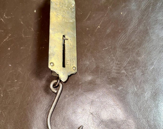 Brass Fish Scale Hook, Vintage Display Decoration Fisherman Gift Excelsior Spring Balance