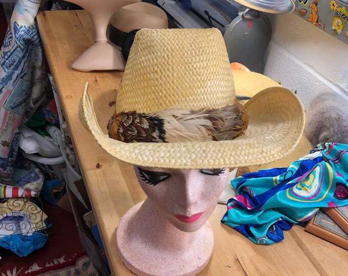 Straw Cowboy Hat with Feather Band, Southwest Country Concert Hat
