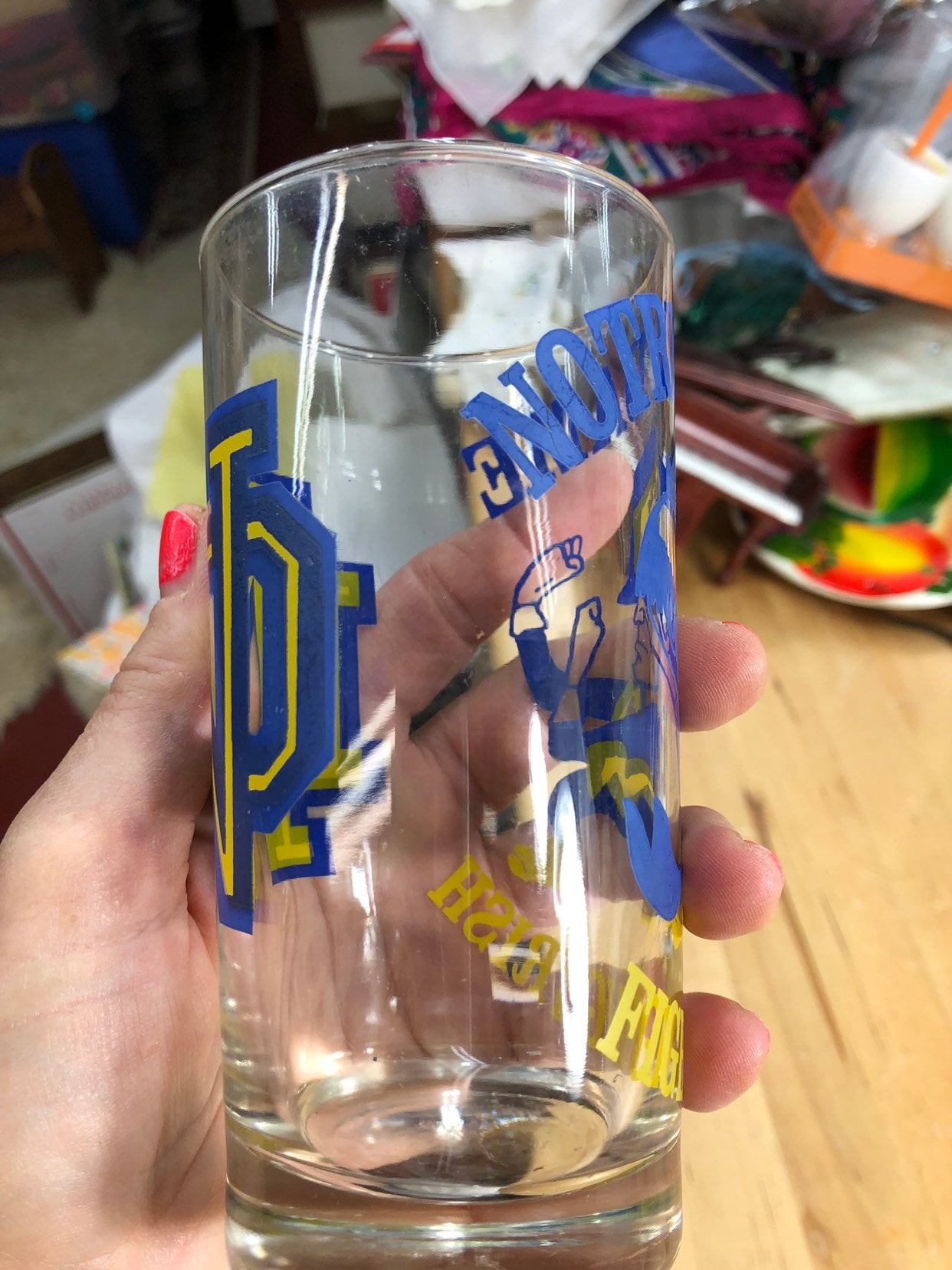 Notre Dame Drinking Glasses Alma Mater College Collectible College