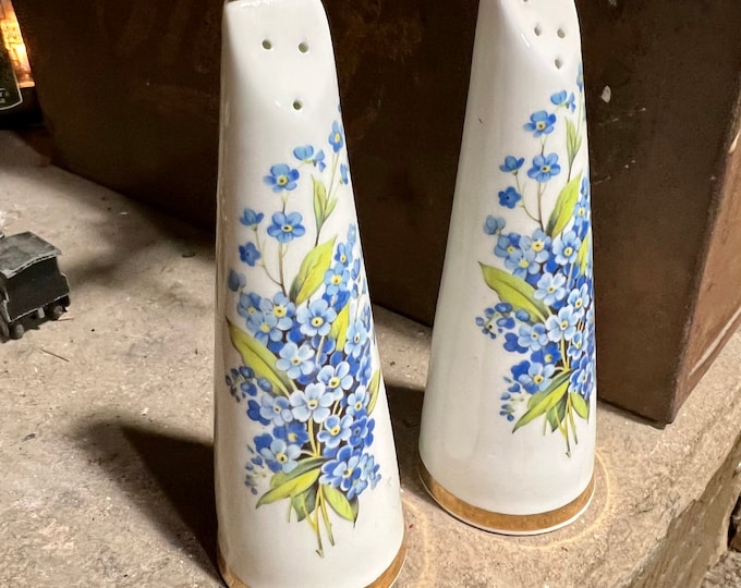 Forget Me Not Salt and Pepper Shaker Set, Vintage Blue Flowers Bone China
