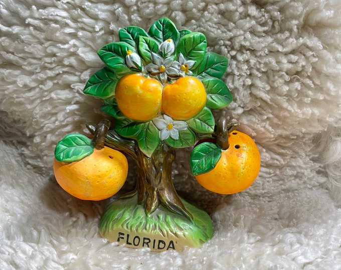 Florida Orange Tree Salt and Pepper Shaker Set, Florida Souvenir, summer home decoration