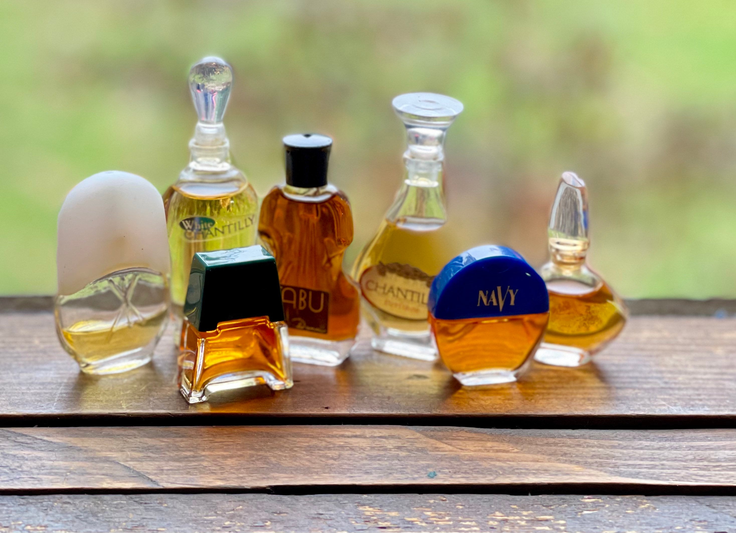 Vintage Fragrance Lot Miniature Perfume Bottles Collectible 
