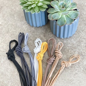 May include: A selection of plant ties in various colours: black, grey, white, yellow, and brown, each with a knotted loop. The ties are arranged in front of three small blue pots containing green succulents.