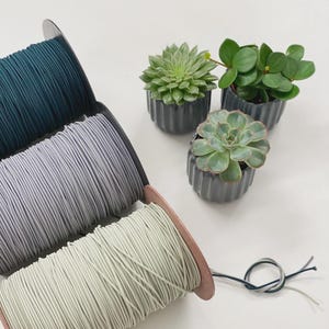 May include: Spools of elastic cord in teal, gray, and light green, alongside three small potted succulents in dark gray ribbed pots. A small knot of the elastic cord is visible.