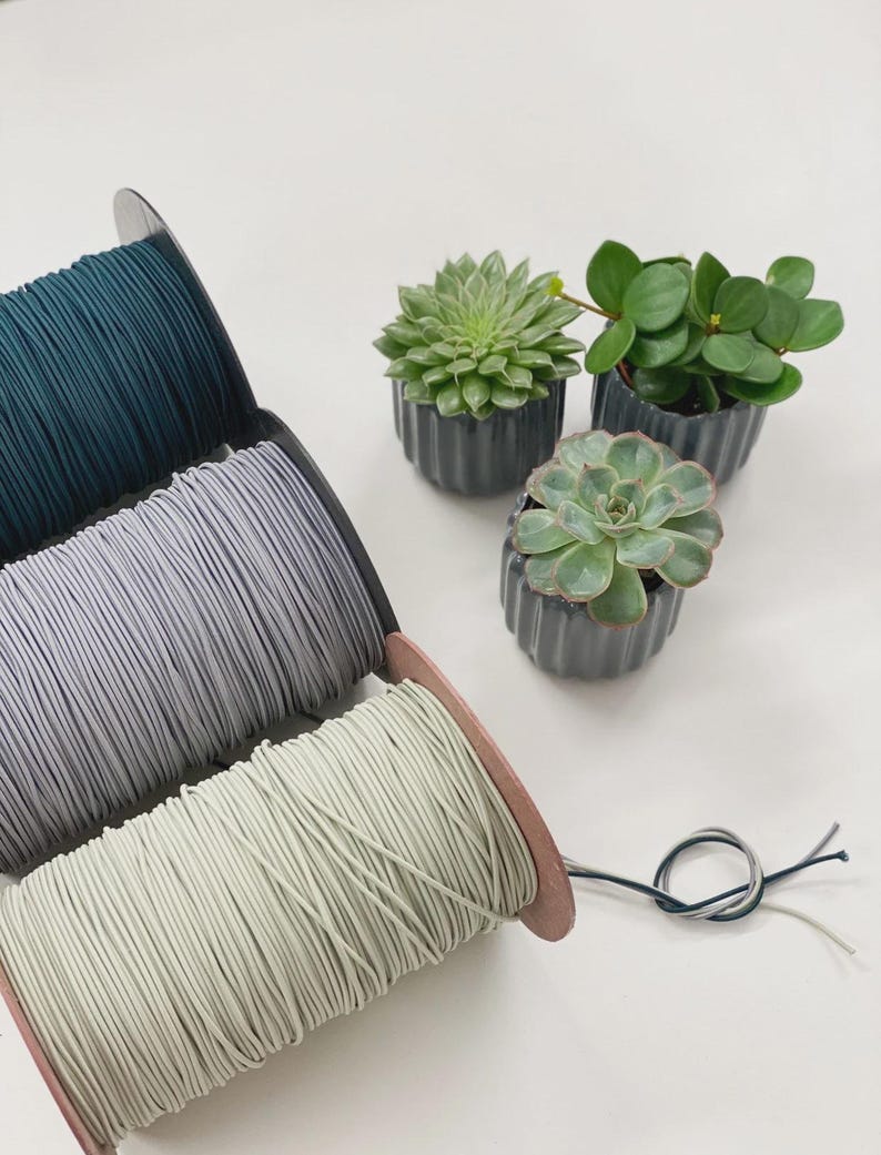 May include: Spools of elastic cord in teal, gray, and light green, alongside three small potted succulents in dark gray ribbed pots. A small knot of the elastic cord is visible.