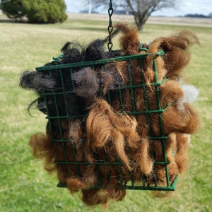 Puede incluir: Un comedero para pájaros de alambre verde lleno de semillas de pájaros marrones, negras y blancas. El comedero está colgado de una cadena.