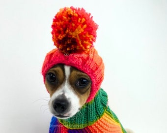 RAINBOW Small Dog Winter Hat Balaclava Snood Hood, TikTok Beanie Hat Chihuahua,  Pom Pom Dog Hat Halloween Valentine Dog Costume Pet Gift