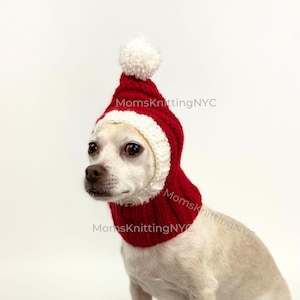 May include: A small dog wearing a red and white knitted hat with a white pom-pom on top. The hat covers the dog's head and neck, with a white trim around the face. The dog is sitting and looking to the side.