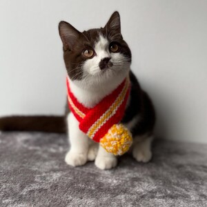 K&ouml;nnte beinhalten: Eine braun-wei&szlig;e Katze tr&auml;gt einen rot-gelb-wei&szlig;en geh&auml;kelten Schal mit einem gelben Bommel. Die Katze blickt nach oben, vor einem wei&szlig;en Hintergrund.