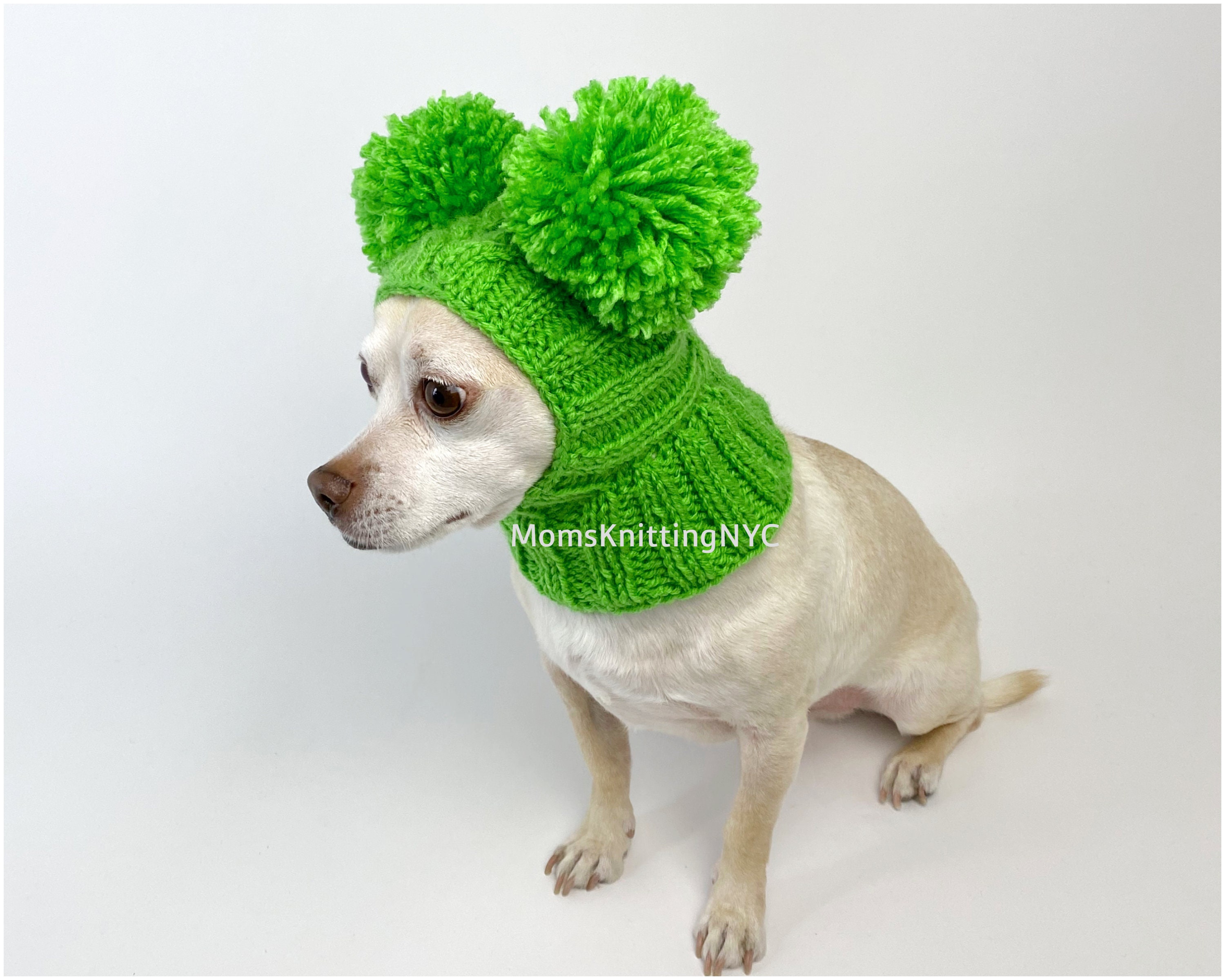 St Patricks Day Dog GREEN Hat SMALL Dog Winter Hat Pom Pom Etsy