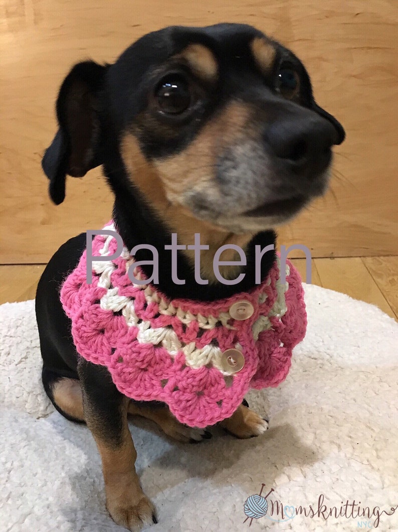 Cat Dog Collar Pet Scarf CROCHET PATTERN, sizes for Entire Family Cats Dog Scarf Pet Holiday Clothing, Instant Download PDF image 1