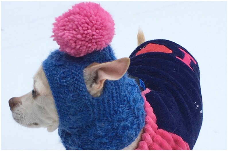 dog winter hats with ear holes