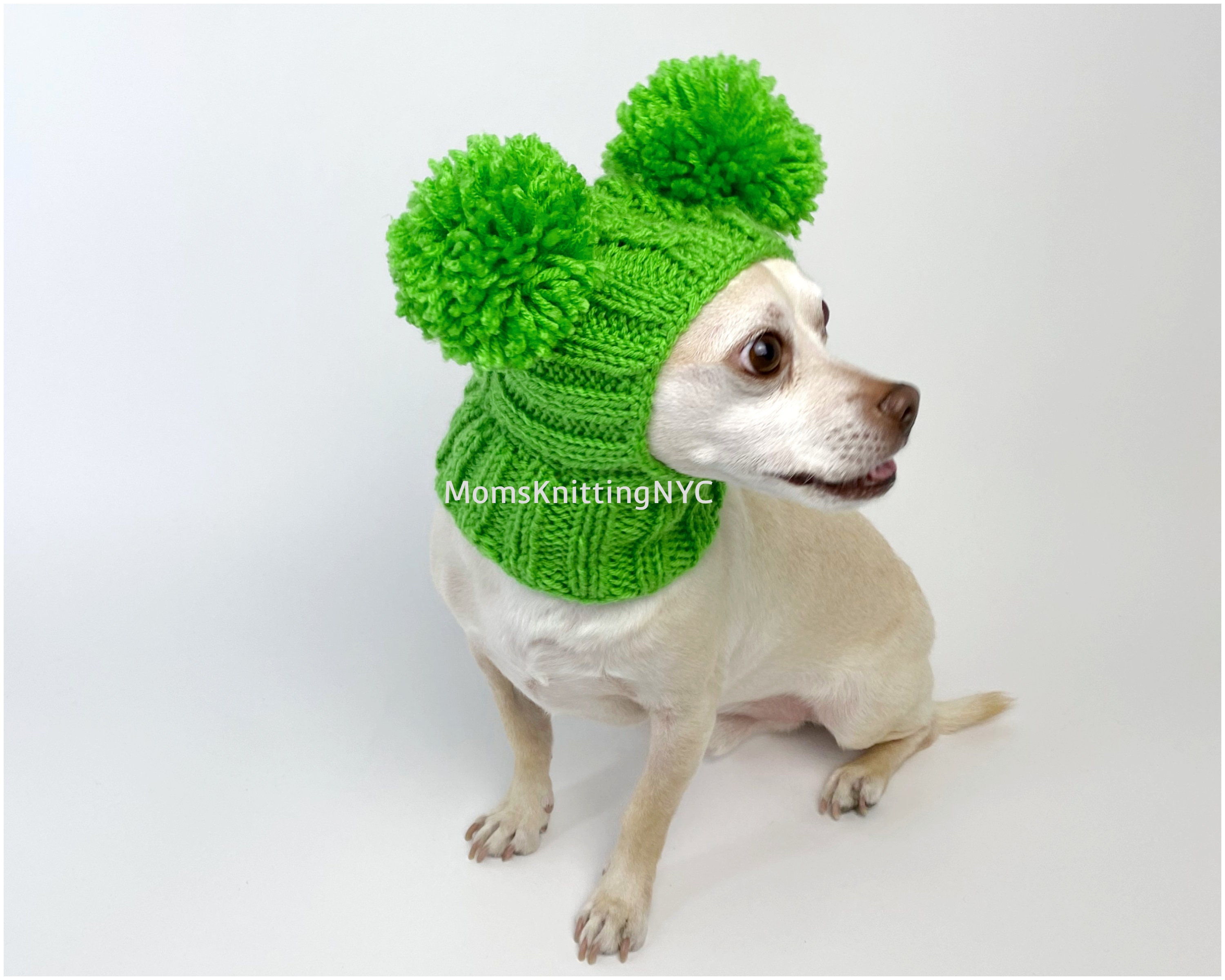 St Patricks Day Dog GREEN Hat SMALL Dog Winter Hat Pom Pom Etsy