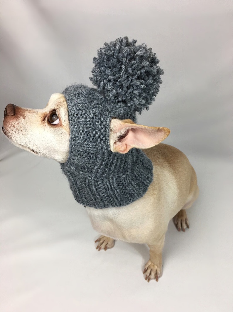 Dog hats with ear holes Clearance