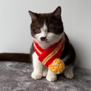 K&ouml;nnte beinhalten: Ein schwarz-wei&szlig;es K&auml;tzchen mit einem rot-gelb gestreiften Schal und einem gelben Bommel. Das K&auml;tzchen streckt die Zunge heraus. Der Schal ist ein gestricktes Accessoire.
