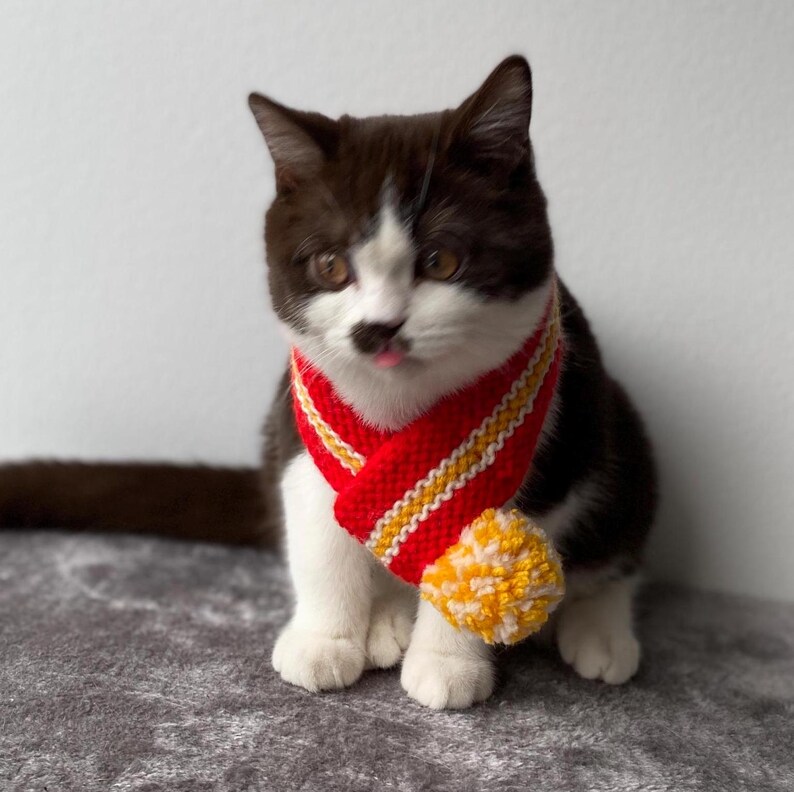 K&ouml;nnte beinhalten: Ein schwarz-wei&szlig;es K&auml;tzchen mit einem rot-gelb gestreiften Schal und einem gelben Bommel. Das K&auml;tzchen streckt die Zunge heraus. Der Schal ist ein gestricktes Accessoire.