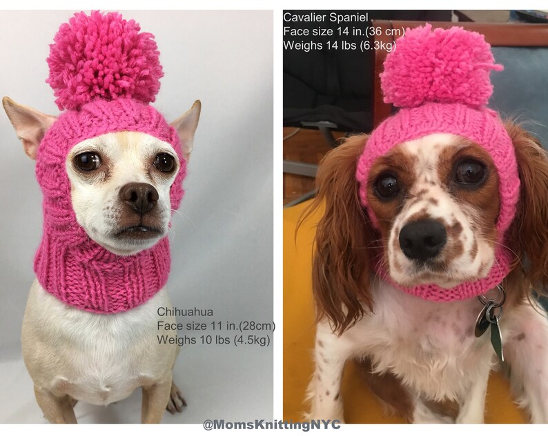 Christmas Dog Elf Hat with Ear Holes Santa Elf SMALL Dog Etsy