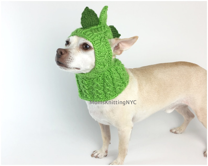 Op de afbeelding: Een kleine hond draagt een felgroene gebreide dinosauruskap. De kap heeft een textuurpatroon en drie rechtopstaande, bladvormige stekels bovenop. De hond is lichtbruin met een witte achtergrond.