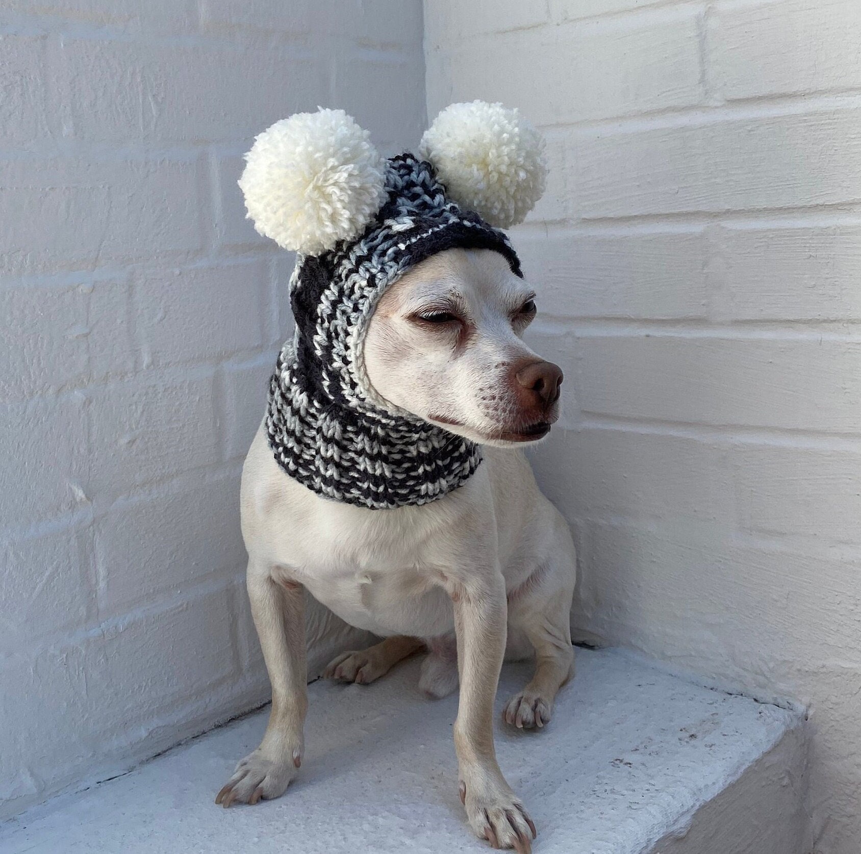 SMALL Dog Balaclava Hat Pom Pom Winter Snood Hood, Chihuahua Hand