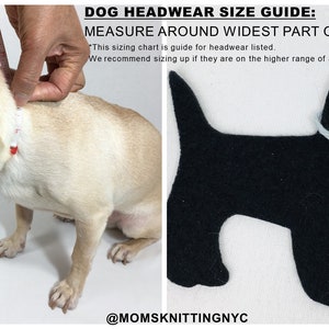 K&ouml;nnte beinhalten: Ein kleiner Hund wird mit einem Ma&szlig;band um den Hals gemessen. Das Bild enth&auml;lt eine schwarze Filzhundeform mit wei&szlig;em Kragen. Der Text lautet "DOG HEADWEAR SIZE GUIDE: MEASURE AROUND WIDEST PART OF THE NECK."
