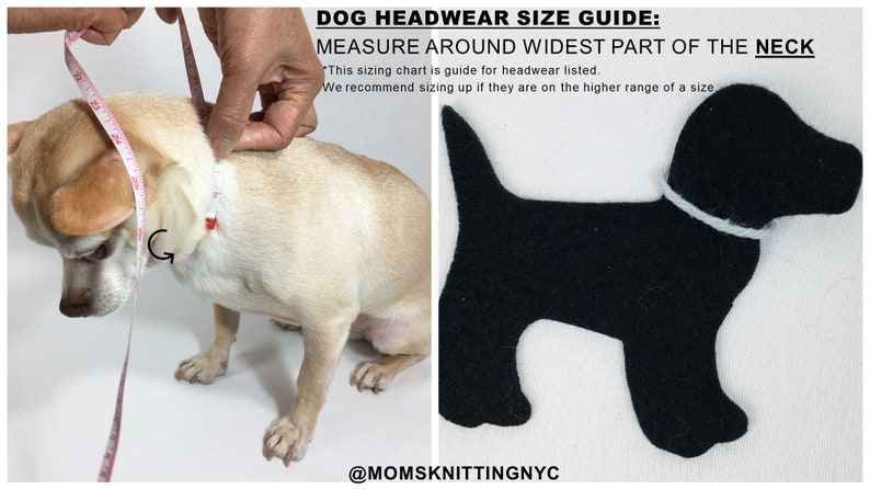 K&ouml;nnte beinhalten: Ein kleiner Hund wird mit einem Ma&szlig;band um den Hals gemessen. Das Bild enth&auml;lt eine schwarze Filzhundeform mit wei&szlig;em Kragen. Der Text lautet "DOG HEADWEAR SIZE GUIDE: MEASURE AROUND WIDEST PART OF THE NECK."