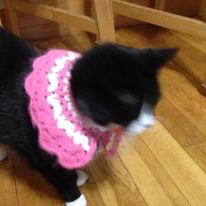 Cat Dog Collar Pet Scarf CROCHET PATTERN, sizes for Entire Family Cats Dog Scarf Pet Holiday Clothing, Instant Download PDF image 4