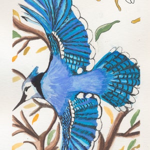 BlueJay taking off