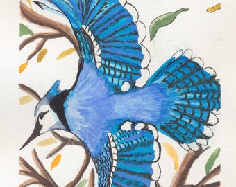 BlueJay taking off