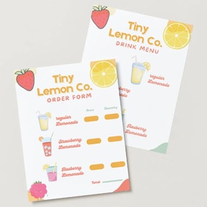 Kids Lemonade Stand Printable Pack,  Drink Menu & Order, Form  Fun, Summer Activity