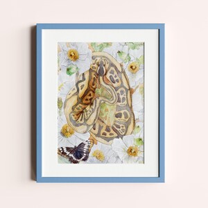 Python in Bloom II art prints 8x10, Snake Home Decor