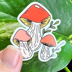 Mini Mushroom Trio Sticker Clear