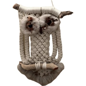 Könnte beinhalten: Weißer Makramee-Eulen-Wandbehang mit braunen Federn für die Augen und einem Ast als Sitzstange.