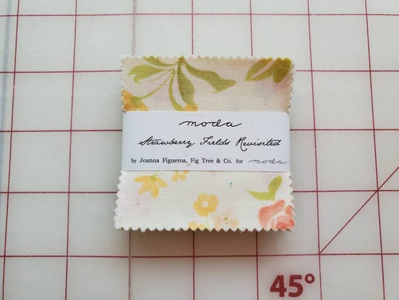 Strawberry Fields Revisited by Fig Street /& Co Moda Fabrics Charm Pack