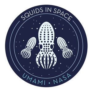 Calmars umami dans l'espace, vinyle autocollant