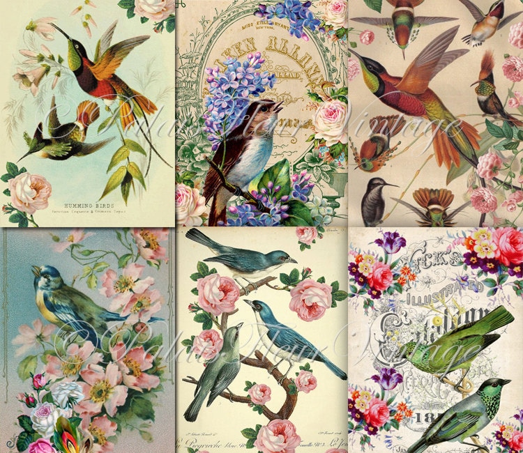Vintage bird wallpaper discount