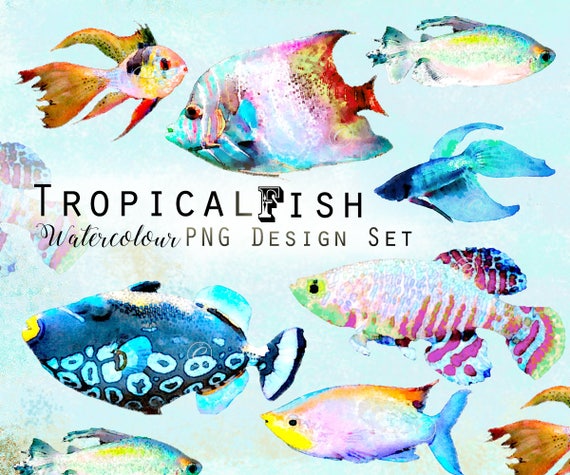 Watercolour Tropical Fish Digital Clip Art Hand Painted Watercolor