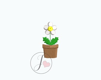 May include: A white daisy with a yellow centre in a brown pot with green leaves.
