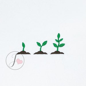 Plant Growing in Stages Embroidery Design, Gardening Embroidery Designs, Machine Embroidery Designs
