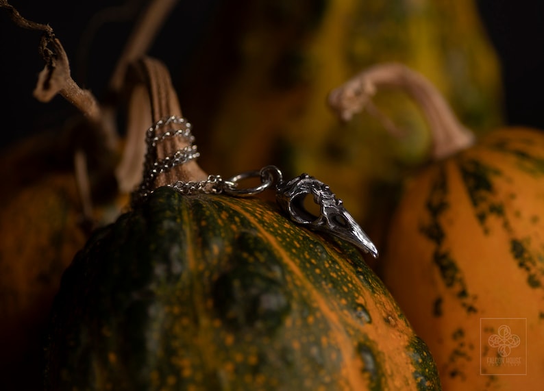 Sterling silver raven skull || Viking pagan charm || Gothic skull necklace || Jewelry gift for witchy girlfriend image 3