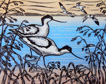 Avocets -  Greeting Card