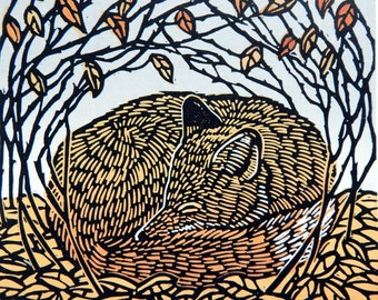 Curled Up -  Limited Edition of a Lino Print of a Fox in Autumn