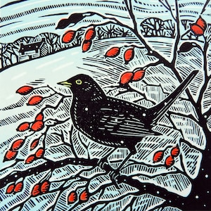 Blackbird and Berries- A limited edition lino print of a Blackbird in Winter