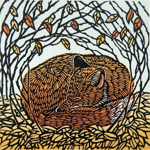 Curled Up -  Limited Edition of a Lino Print of a Fox in Autumn