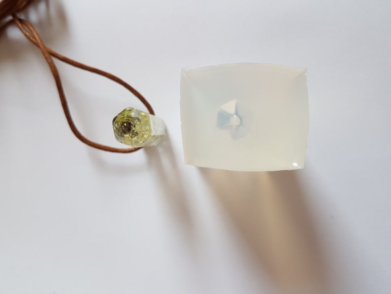 May include: A clear, square resin mold with a small, embedded object and a hexagonal pendant with a brown leather cord. The pendant has a light green and brown interior.